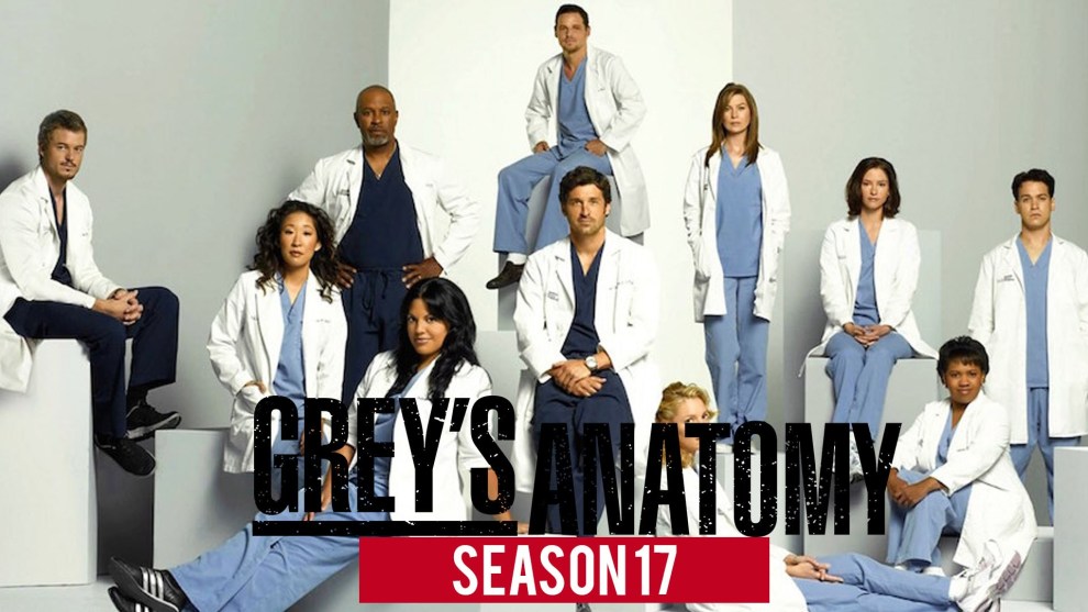 Grey's Anatomy Season 17