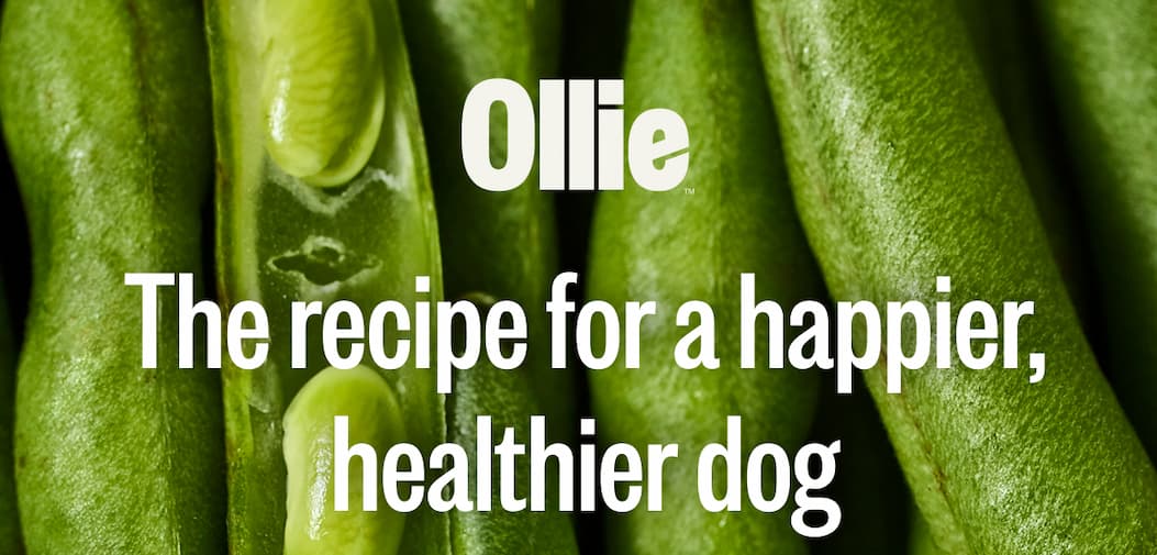 Ollie- The Recipe For A Happier, Healthier Dog