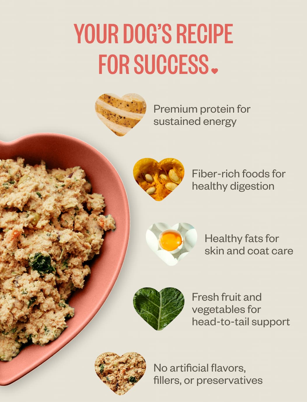 Your Dog's Recipe for Success