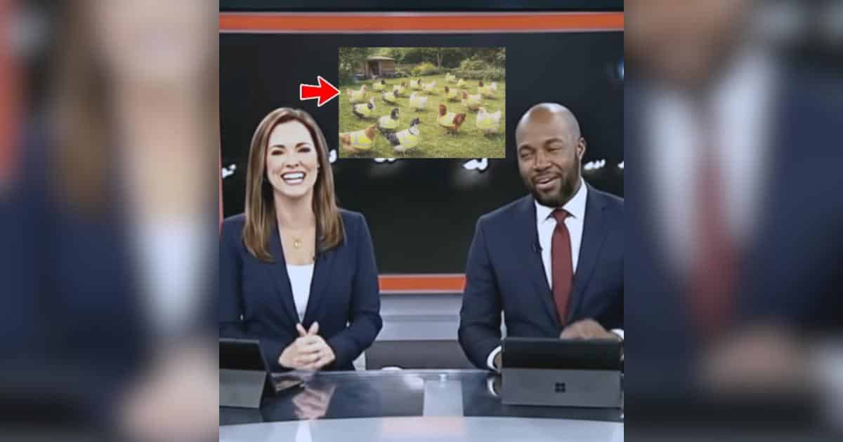 ‘Glowing Gnomes’ Turn Out to Be Chickens in Safety Vests and It’s Actually a Thing