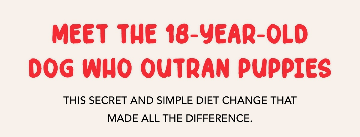 Meet the 18-year-old Dog Who Outran Puppies - This secret and simple diet change that made all the difference.