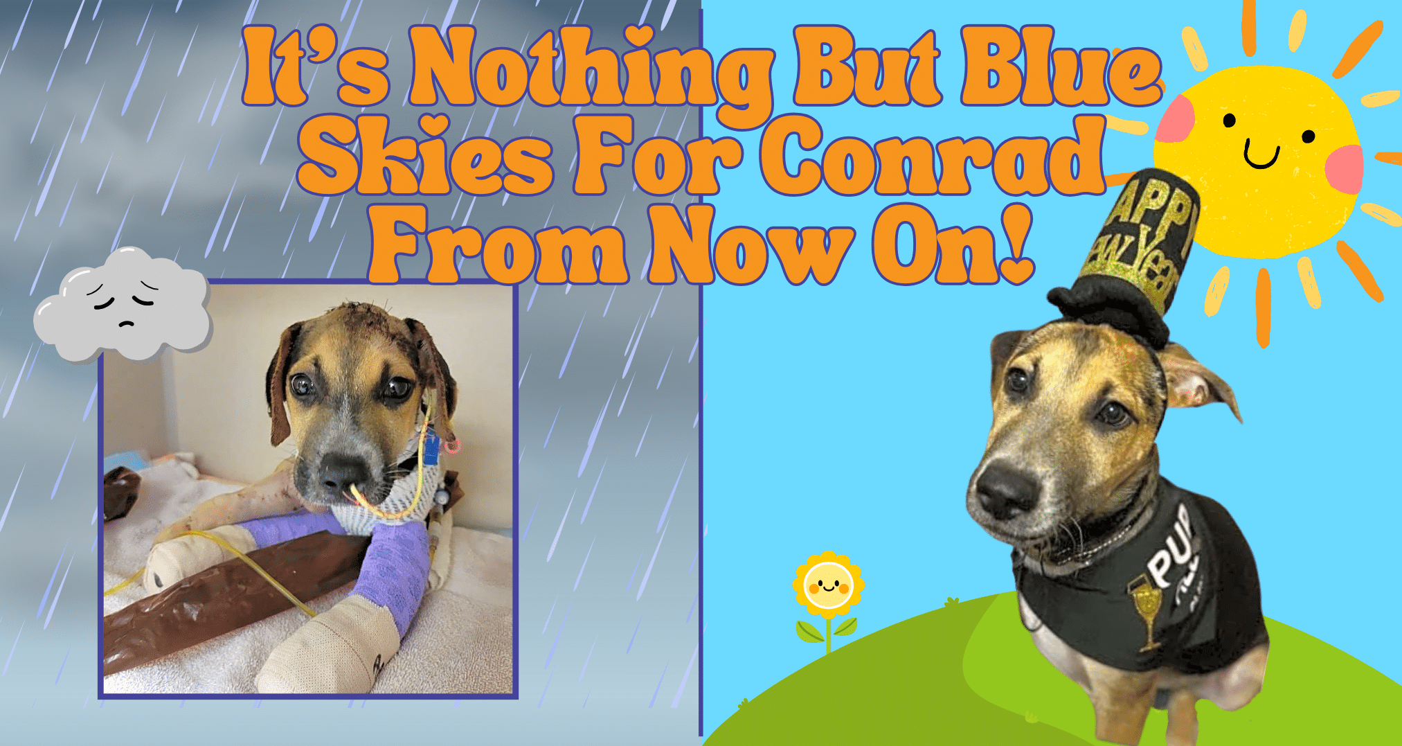 It's Nothing But Blue Skies For Conrad From Now On!