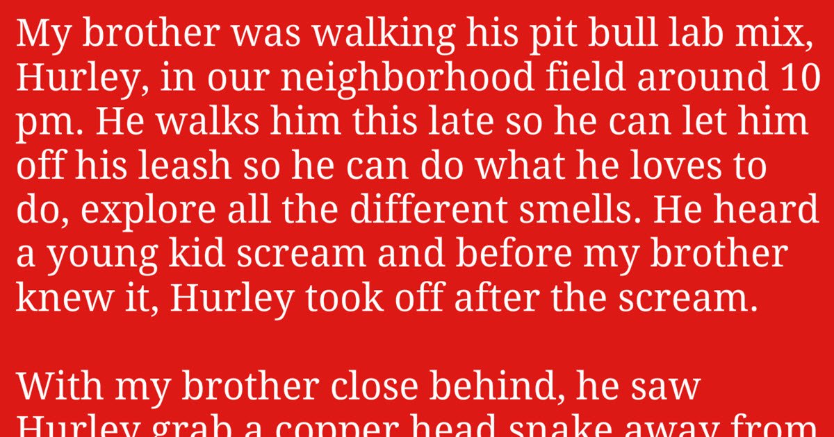 Pit Bull Runs Toward Screaming Kid And Ended Up Saving Child From A Deadly Snake