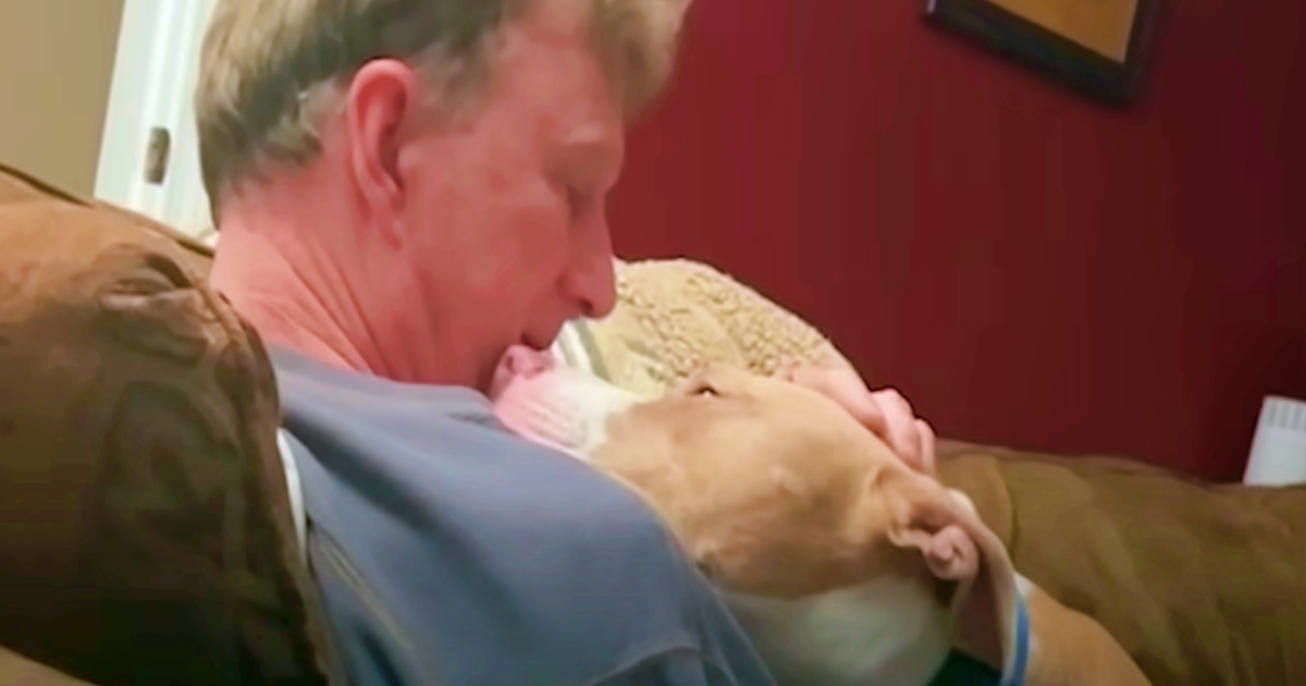 Dog Stalks Grandpa Reluctant To Keep Him To Convert Him Into A Pit Bull Lover