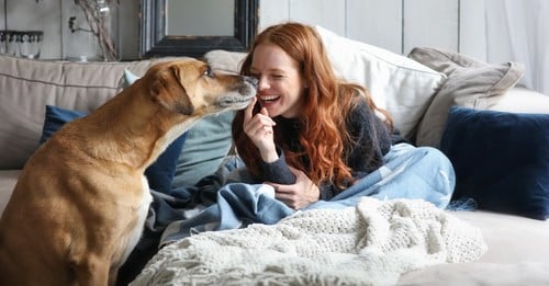 10 Ways To Spoil The Living Daylights Out Of Your Senior Dog