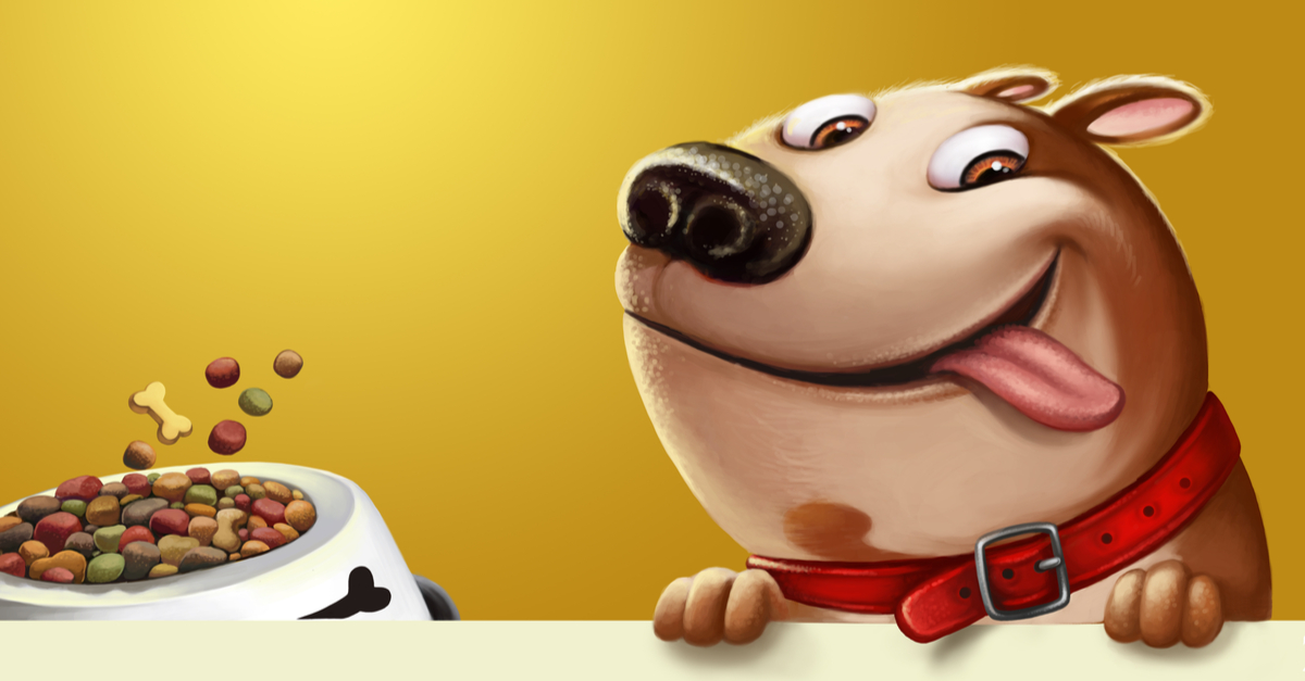 20 Dog Breeds You Think You Want But Probably Don’t