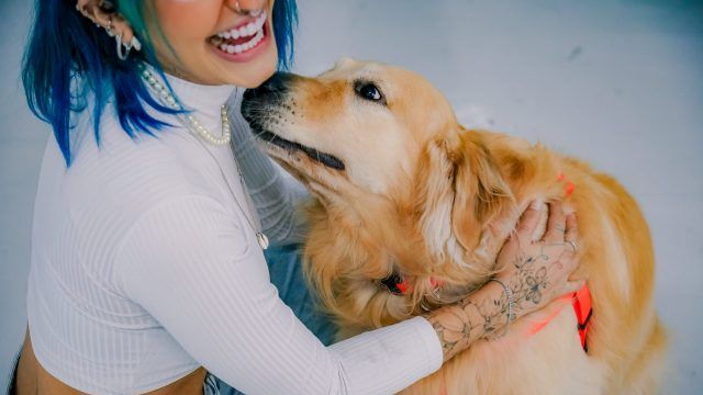 7 Dog Breeds That Show Unconditional Love in the Purest Form