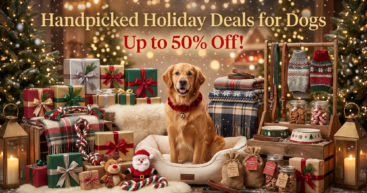 Top-Rated Amazon Dog Gifts With Big Holiday Discounts Right Now