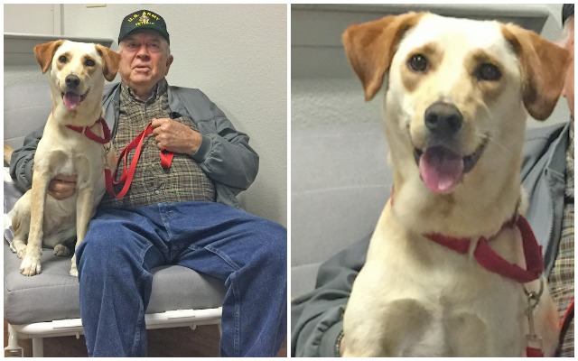 This Deserving Veteran Was Paired With His “Best Buddy,” Thanks To Your Support!