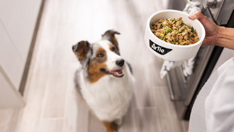 Want to cook for your pets but don’t have the time?
