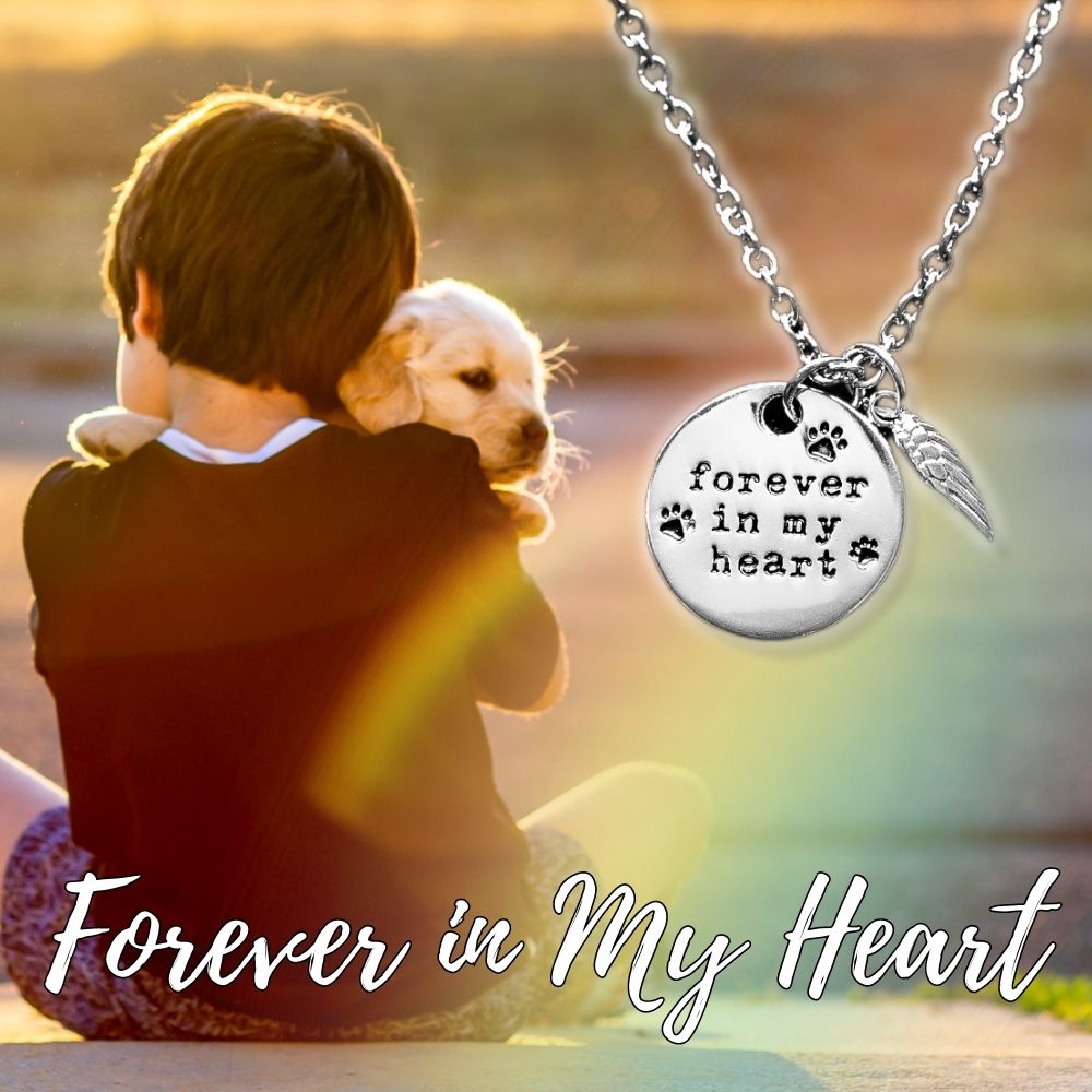 Forever In My Heart Memorial Angel Wing Necklace – Deal 37% Off!