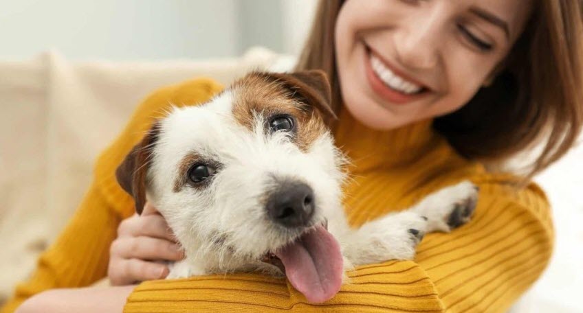 Vet-Quality Relief At Home