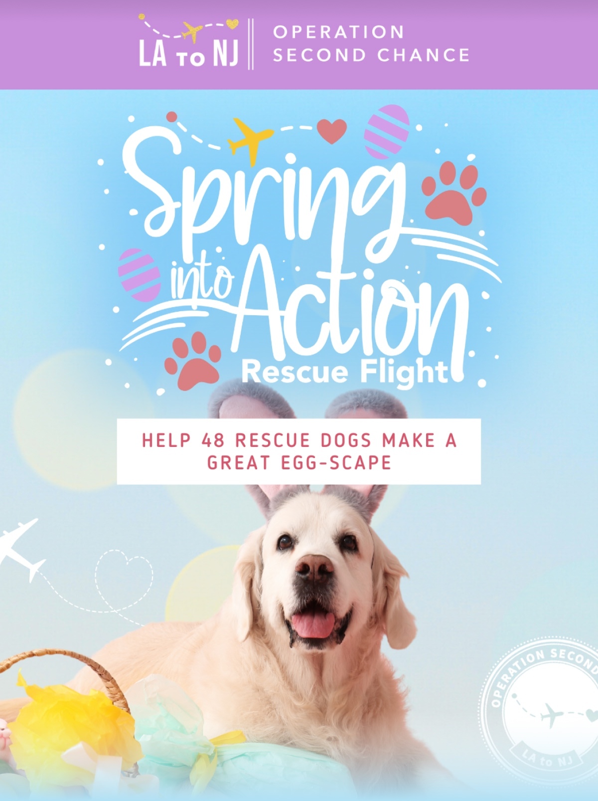 LA TO NJ OPERATION SECOND CHANCE - Spring into Action Rescue Flight - HELP 48 RESCUE DOGS MAKE A GREAT EGG-SCAPE