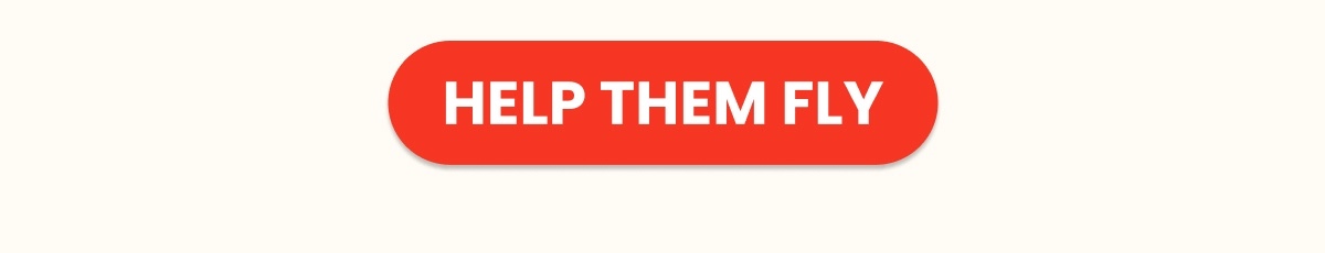 HELP THEM FLY