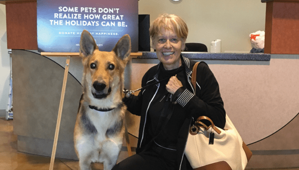 Couple Adopts The Last Dog Left At The Shelter, A Disabled German Shepherd