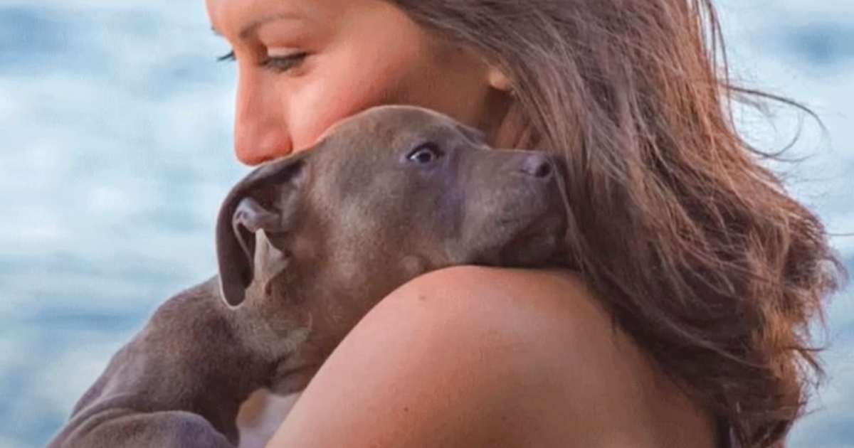Lady Calls Domestic Abuse Hotline When Partner Threatens Her “I’m Sorry” Puppy