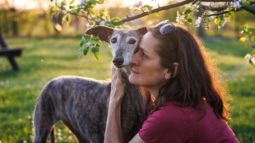 Greyhounds Deserve Love, Not Bets