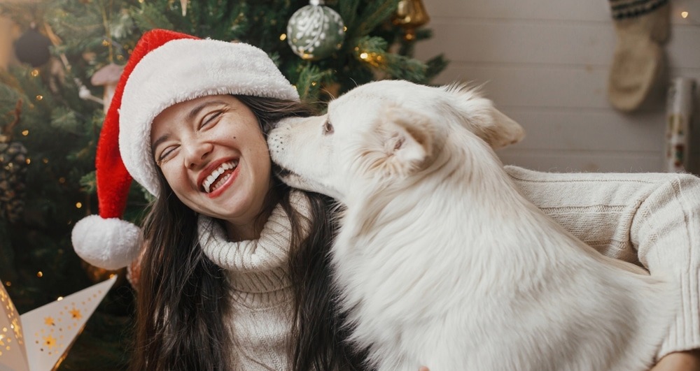 Spoil Your Pup & Delight a Dog Lover with These Holiday Gifts