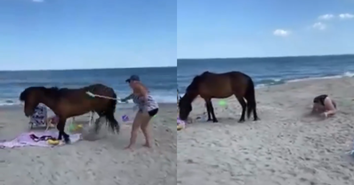 Woman ‘Whacked’ Wild Horse With Shovel And Did Not Expect To Receive “Instant Karma”