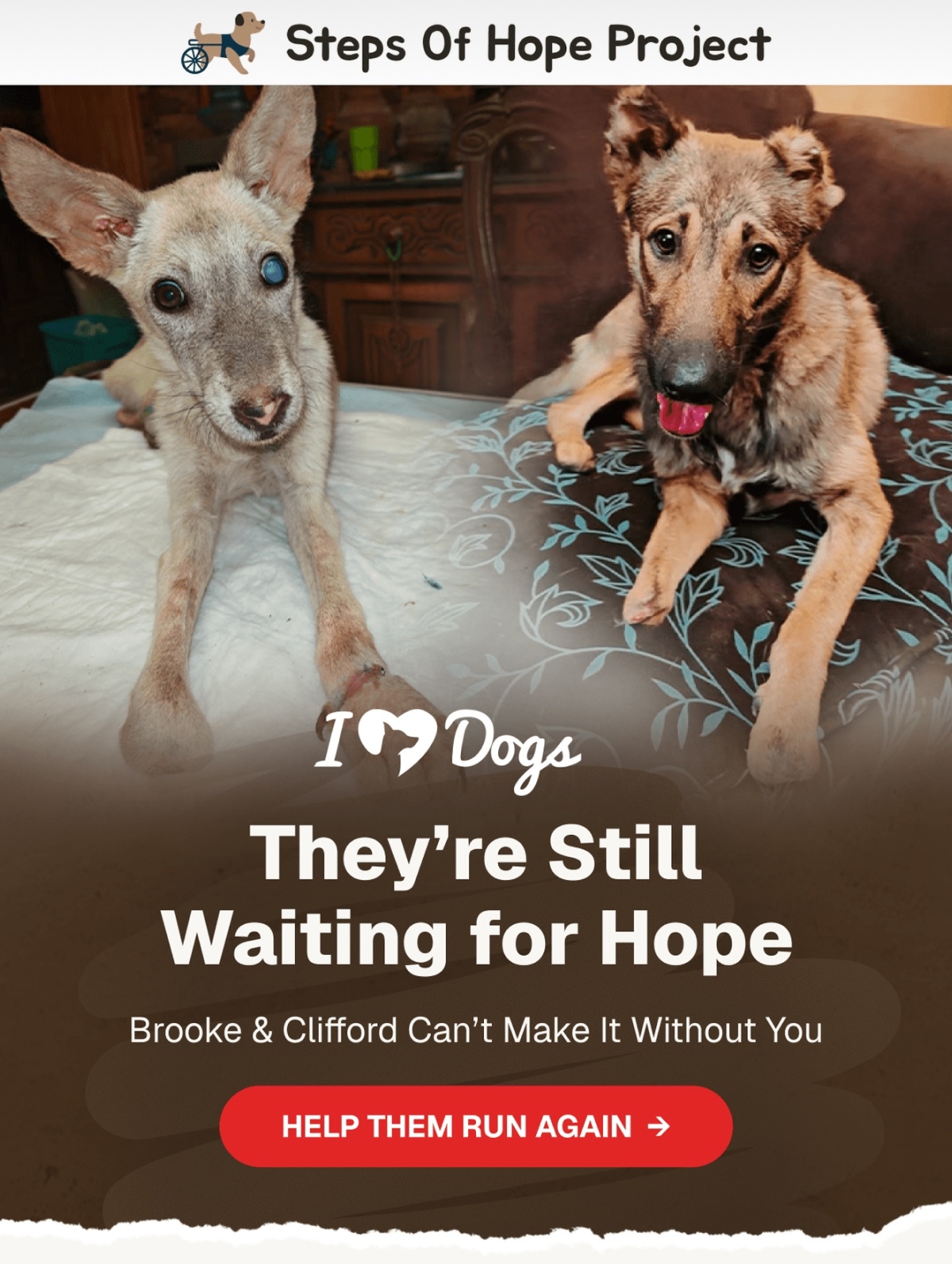 Steps Of Hope Project