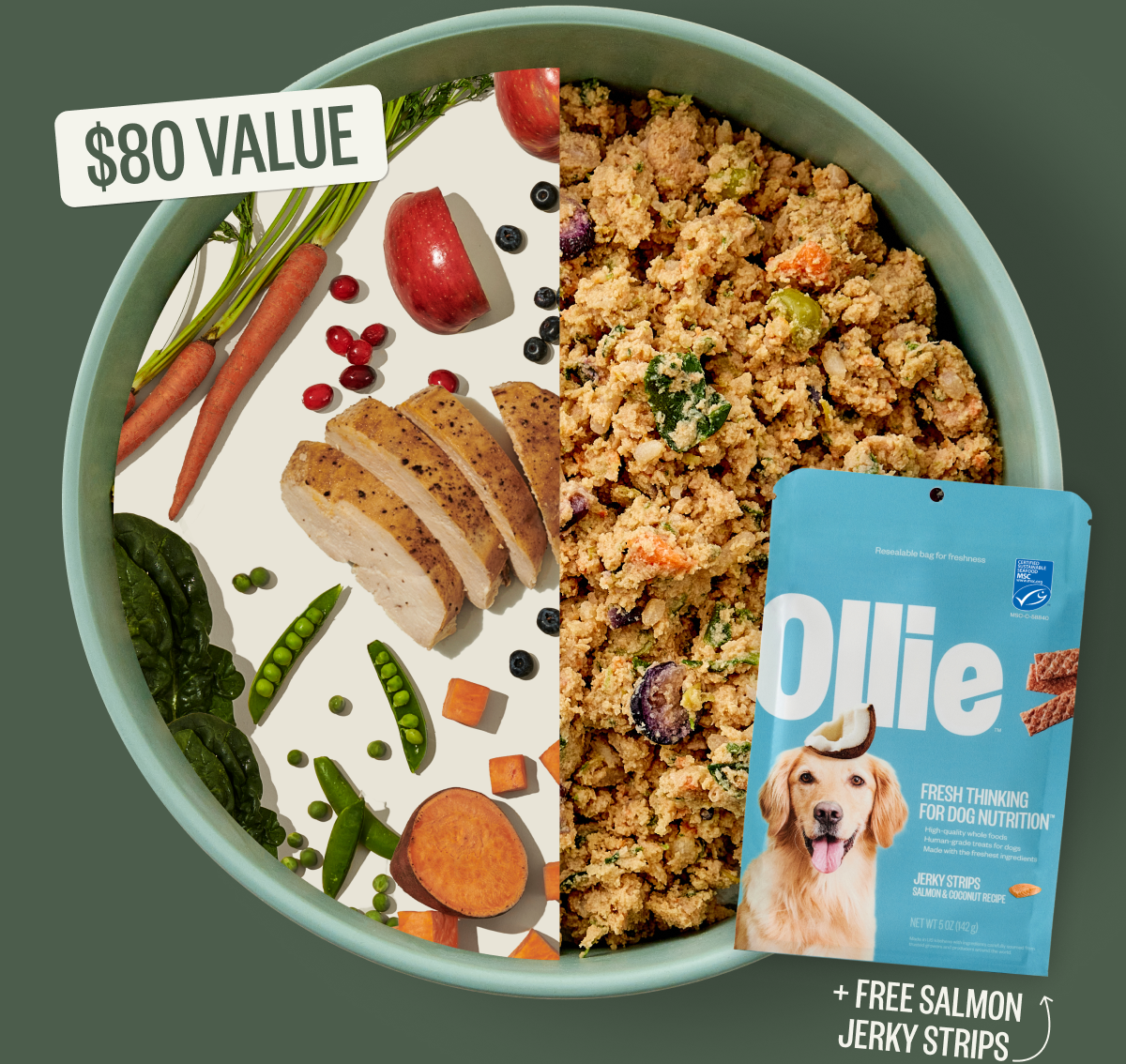 Bowl of fresh dog food with half containing human food and other half with fresh Ollie dog food. Free Salmon jerky strips.
