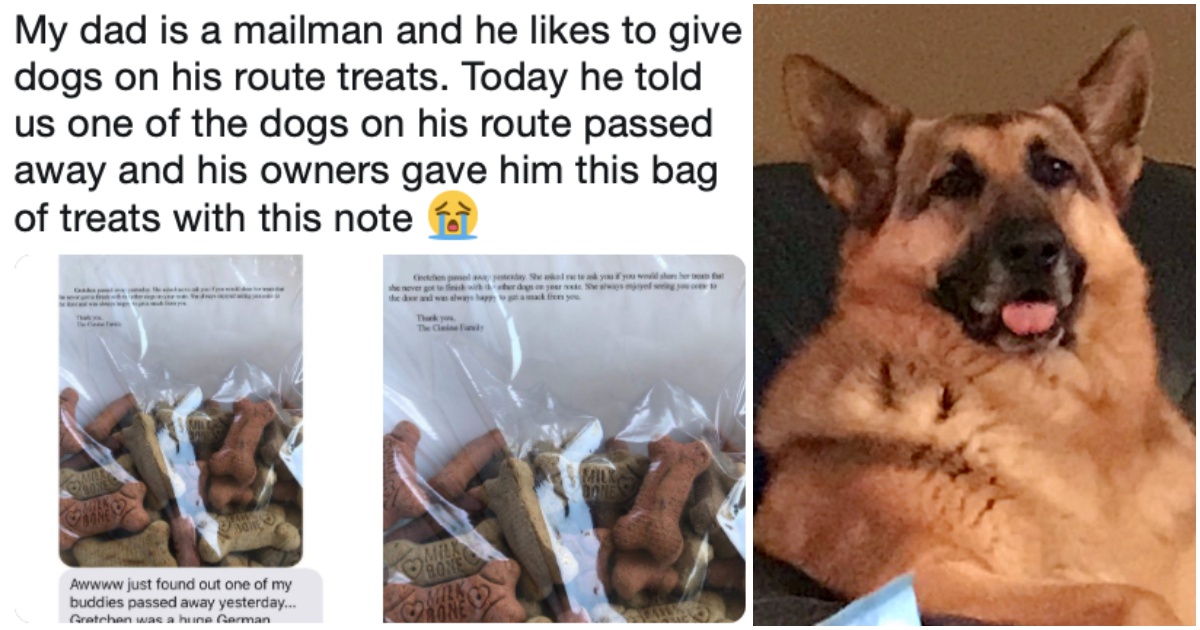 Mailman Gave Treats To Dogs On His Route, And When One Died, Owners Gave Him A ‘Sweet Note’