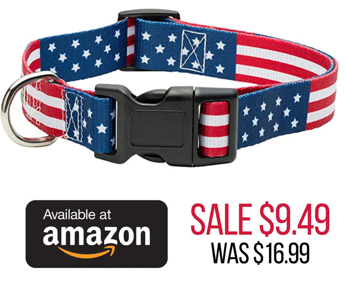 Still Time to Get Your 4th of July Collar on Sale on Amazon!