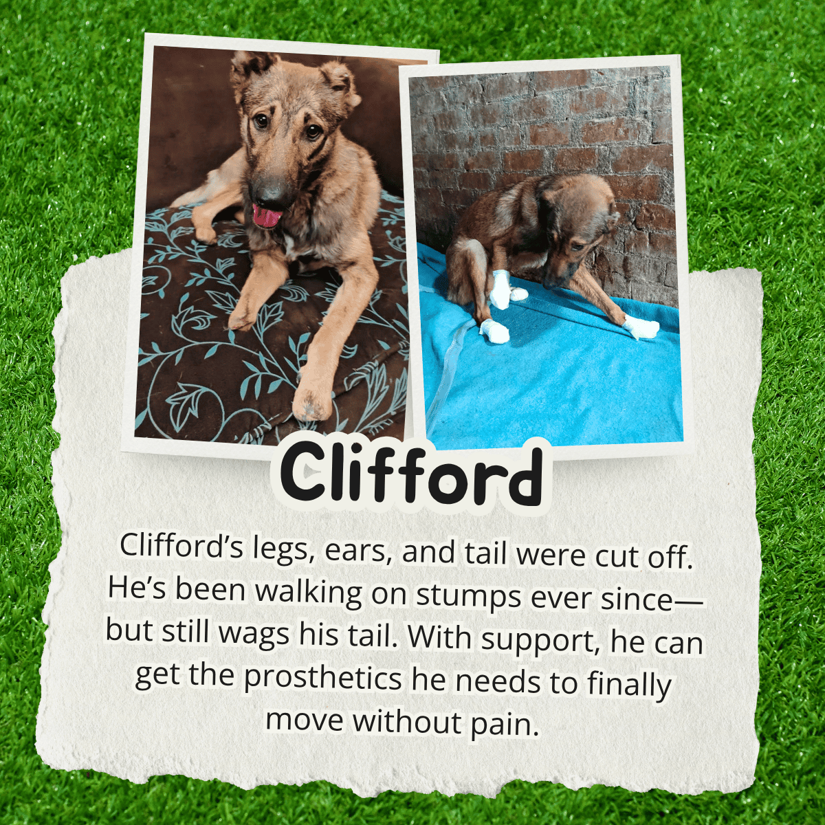 Clifford