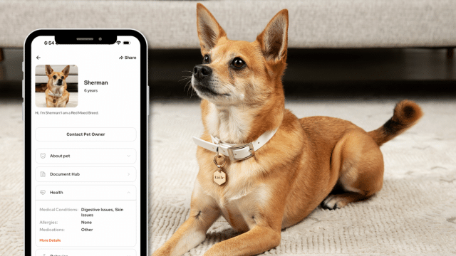 Why Tech-Savvy Pet Owners are Choosing Tailr for Enhanced Pet Security