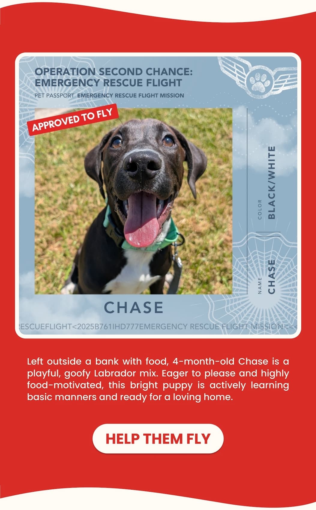 CHASE