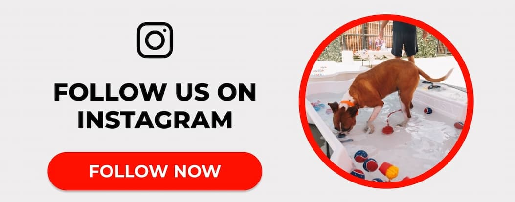 FOLLOW US ON INSTAGRAM