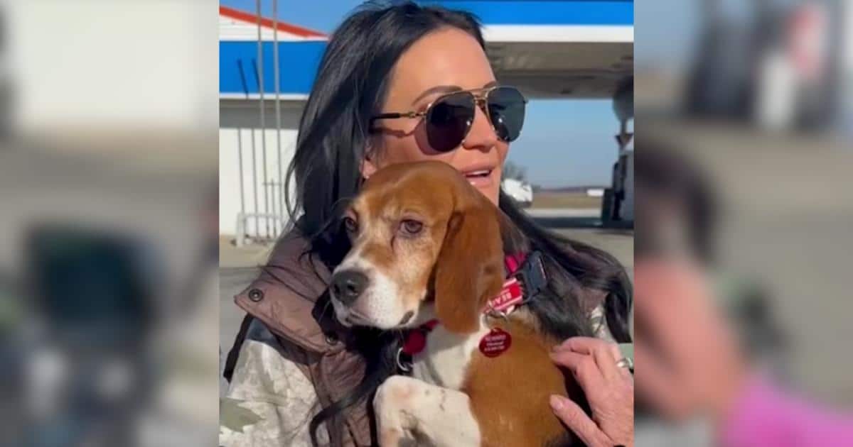 Beagle Rescued From Lab Finds His Voice and It’s the Sweetest Sound