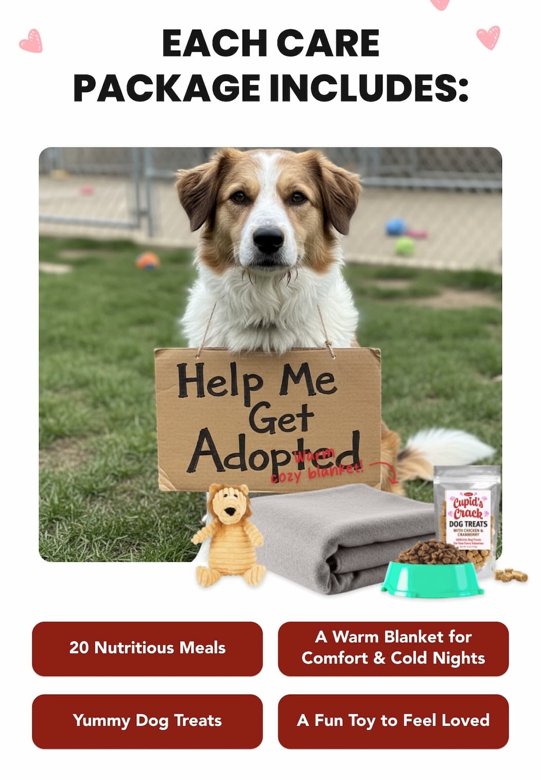 Every Purchase Helps Feed Hungry Shelter Dogs