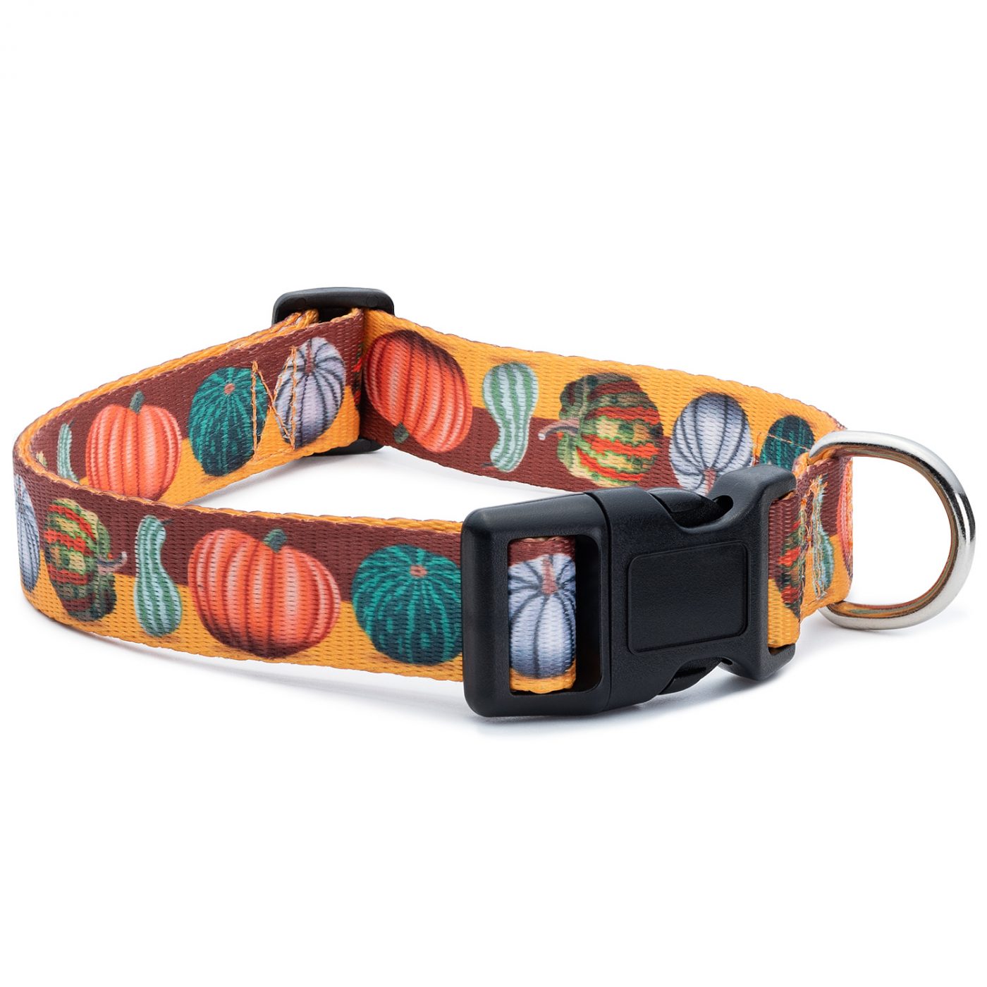 Halloween Assorted Pumpkin Dog Collar