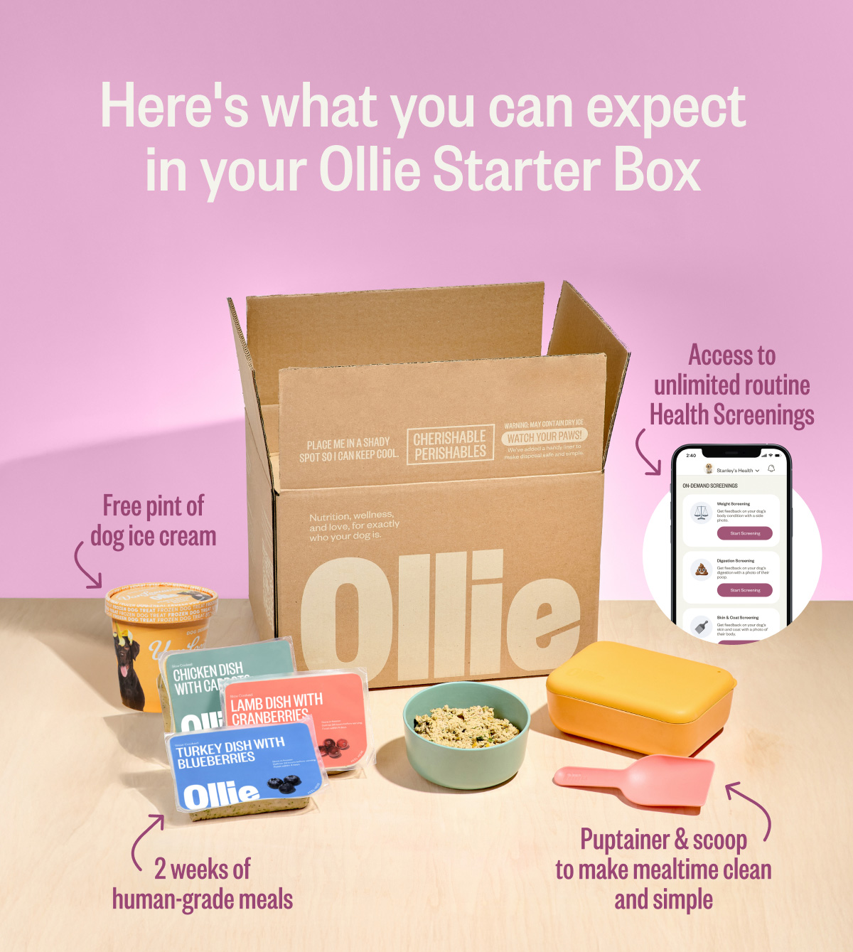 Here's what you can expect in your Ollie Starter Box