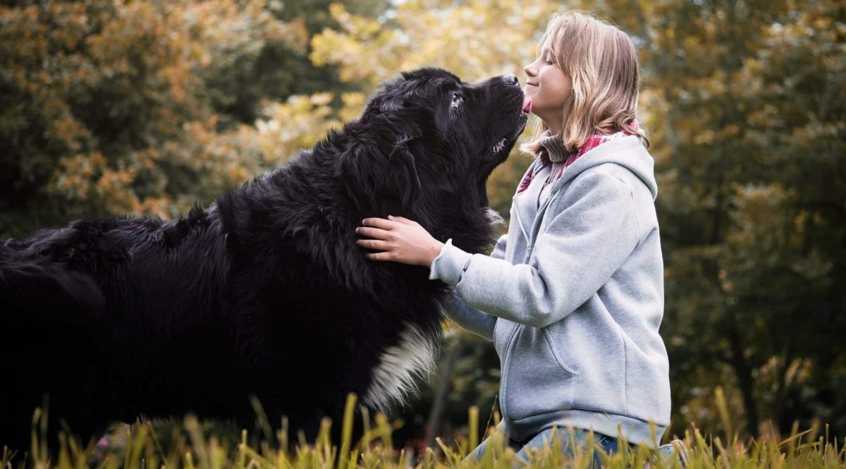 11 Rugged Dog Breeds Built For The Great Outdoors