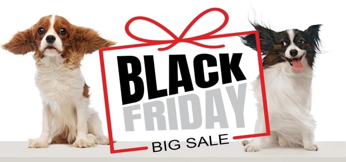 Black Friday Steals for You and Your Furry Friend! 🐾💖