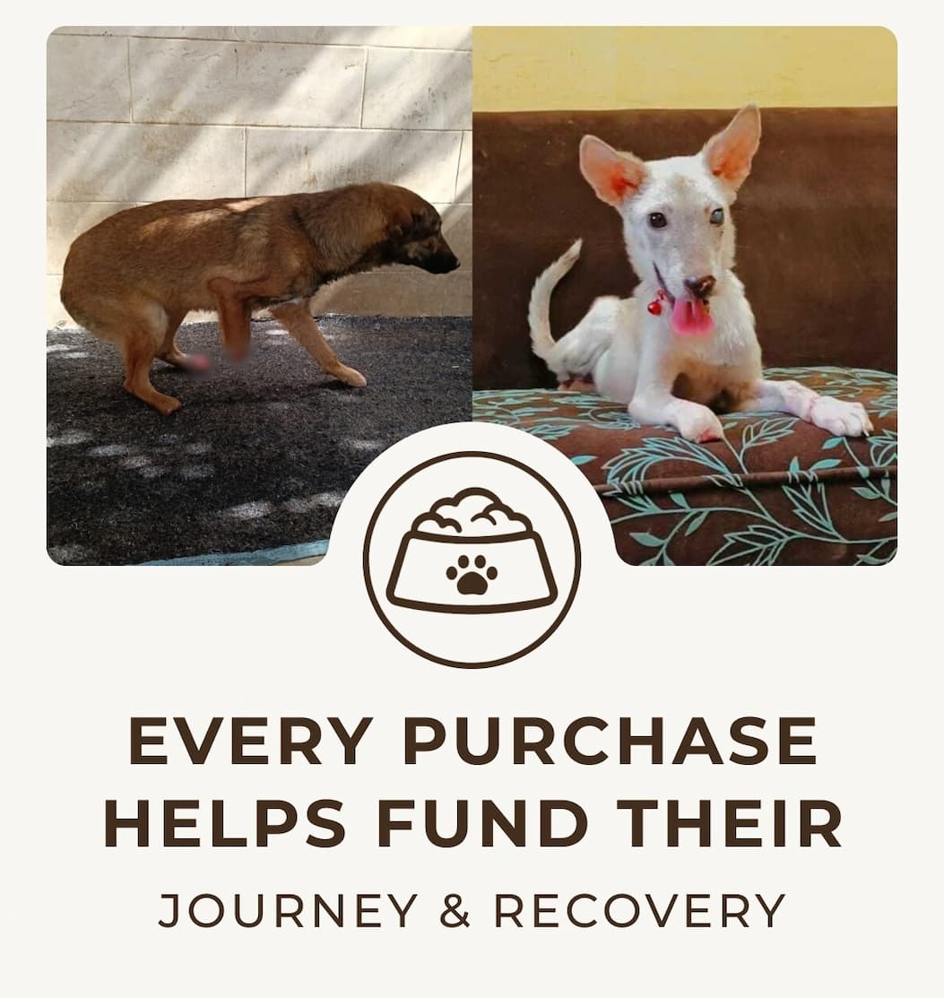 Every Purchase Helps Fund Their Journey & Recovery