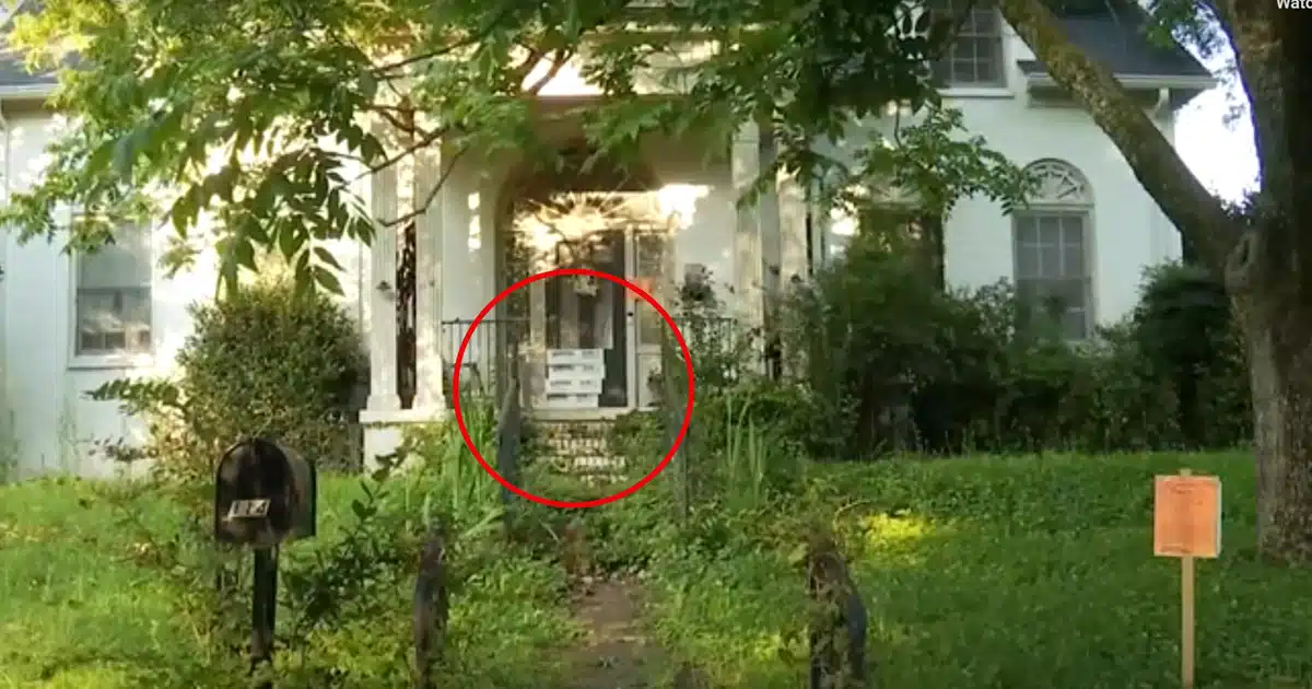 20 Dead Cats Found in Freezer Among Dozens of Animals at Local Home