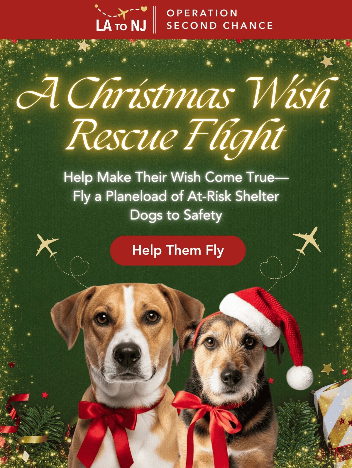 A Christmas Wish Rescue Flight