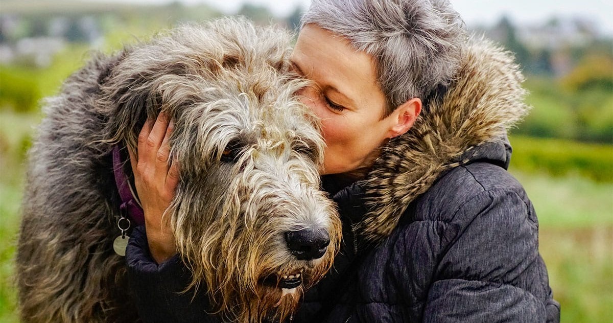 15 Noble Dog Breeds That Bond for Life
