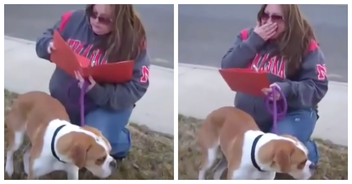 Family Rejected Dog On Adoption Day But Foster Mom Realized She's Been 'Set Up'