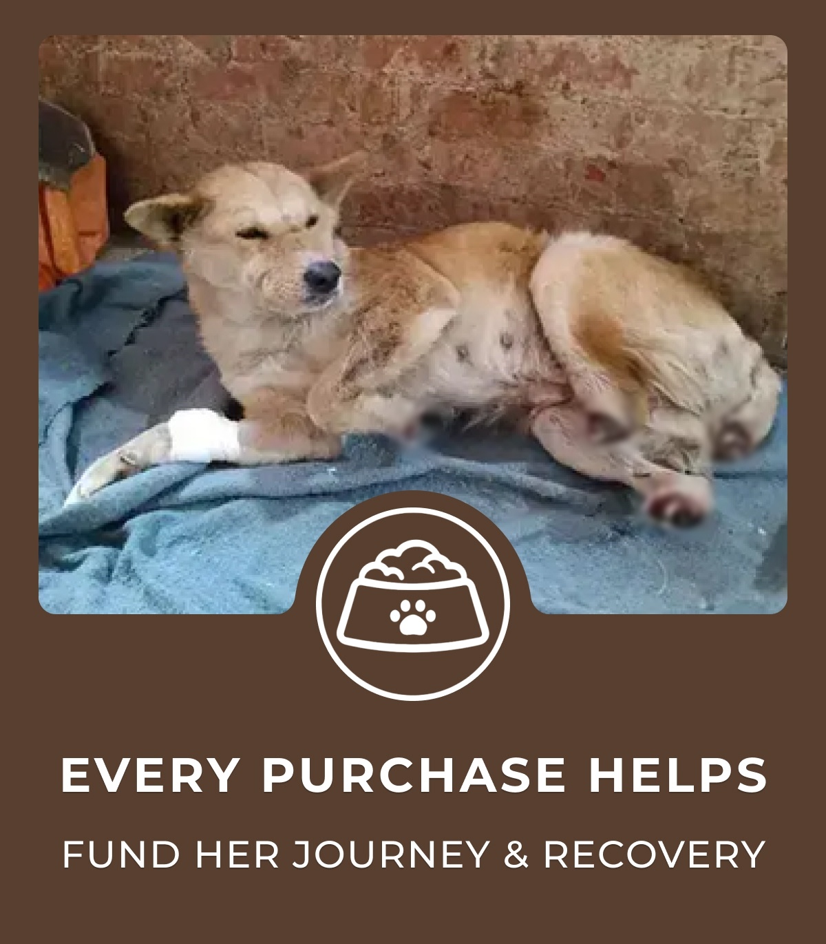 Every Purchase Helps Feed Hungry Shelter Dogs