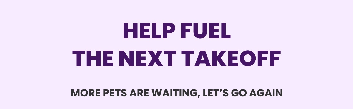HELP FUEL THE NEXT TAKEOFF - MORE PETS ARE WAITING, LET’S GO AGAIN