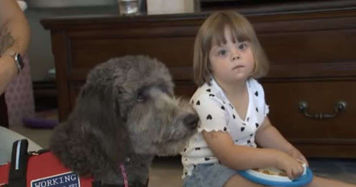 Preschooler With Type 1 Diabetes Matched With Special Service Dog