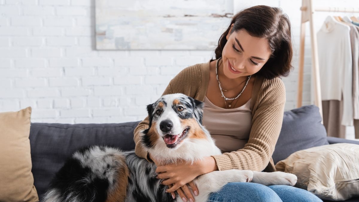 13 Dog Breeds That Get Jealous Of Literally Everything