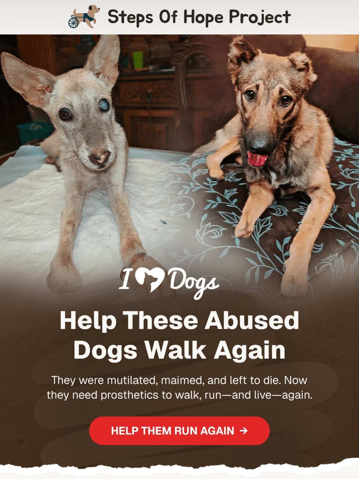 Steps Of Hope Project