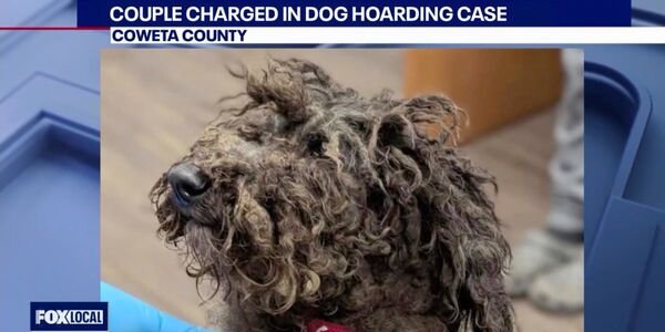 Couple Charged in Dog Hoarding Case