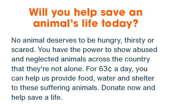 Will you help save an animal's life today?