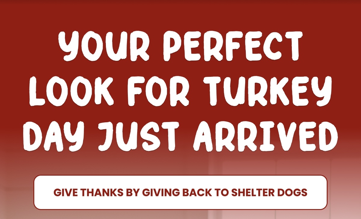 Your Perfect Look For Turkey Day Just Arrived - Give Thanks By Giving Back To Shelter Dogs